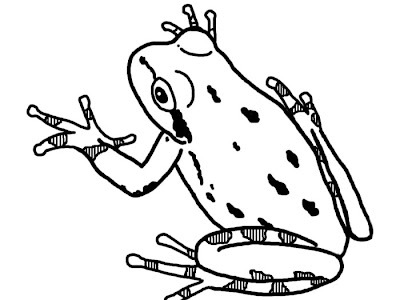 画像をダウンロード カエル イラスト かわいい 白黒 635135