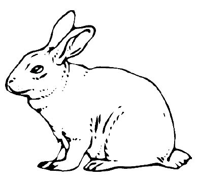 Schau dir unsere auswahl an hase vorlage an, um die tollsten einzigartigen oder spezialgefertigten. Hase Malvorlage Und Vorlagen Zum Zeichnen