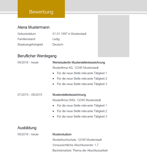 Berufliche Zielsetzung Im Cv - Der Perfekte Lebenslauf Aufbau Tipps Und Vorlagen : Wir zeigen ...