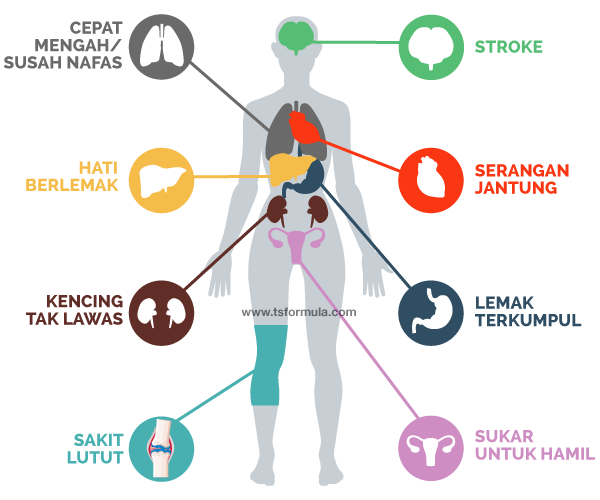 Ubat Kurus Yang Berkesan Di Farmasi - Contoh 4444