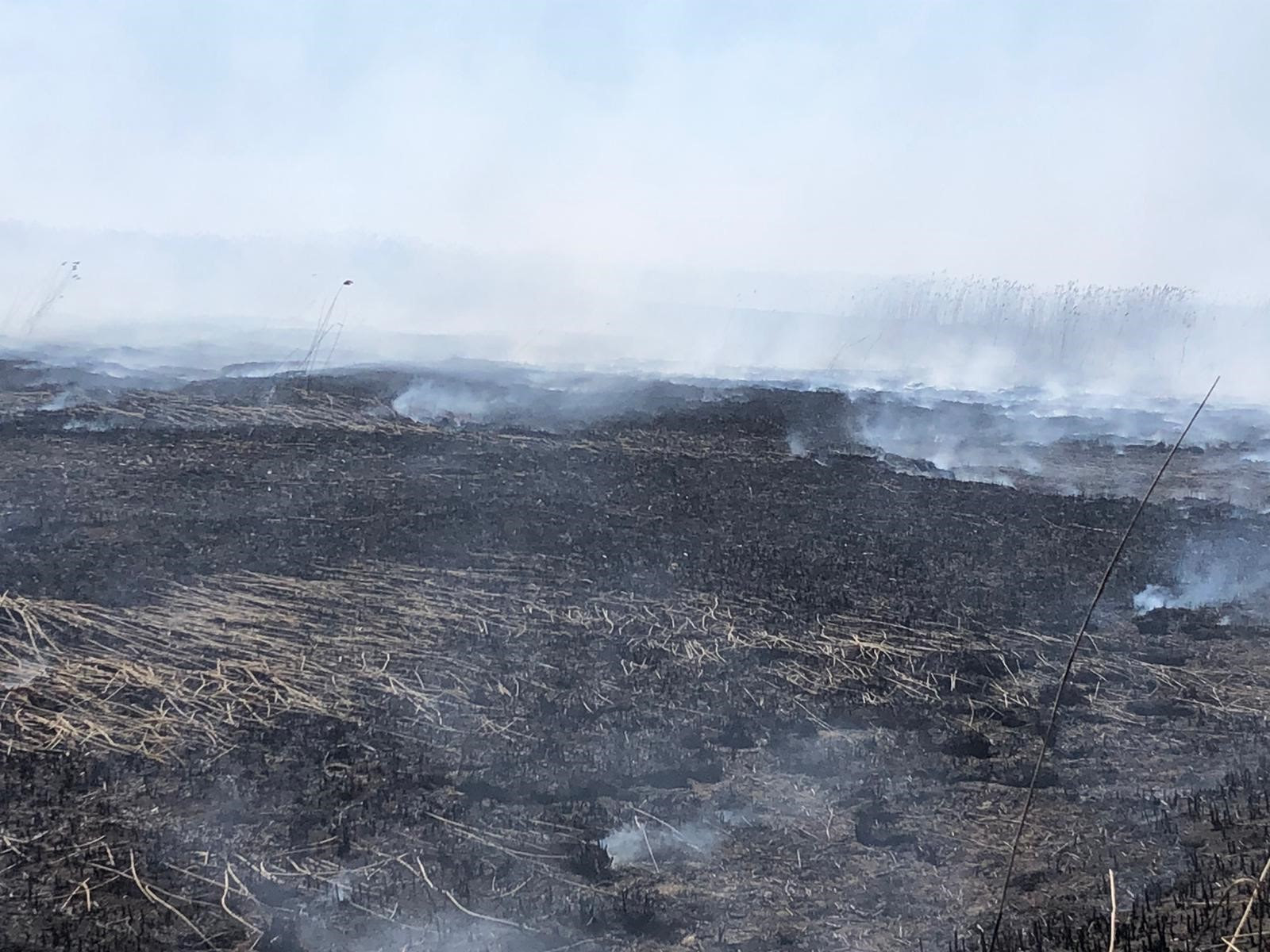 Home star matinal incendiu groaznic în localitatea corbeanca. Update Isubif IntervenÈ›ie In PeriÈ™ La Incendiul De VegetaÈ›ie È™i DejecÈ›ii Provenite De La Fosta FermÄƒ Jurnalul De Ilfov