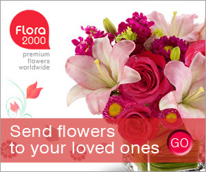 Flowers for all occasions : Discount Flowers Order Online Same Day Delivery