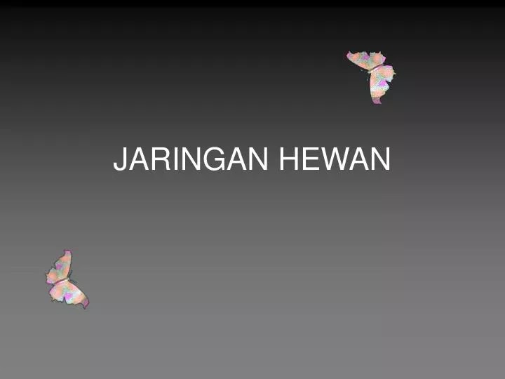 Download Ppt  Struktur Dan Fungsi Jaringan  Hewan 