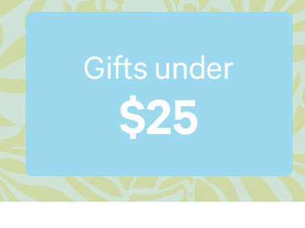 Gifts under $25