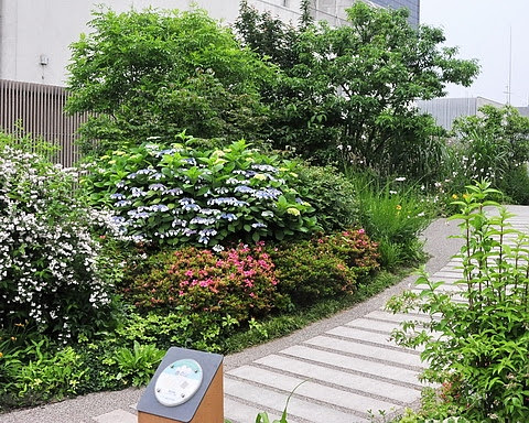 愛花人集合 伊勢丹百貨新宿店本館屋上庭園