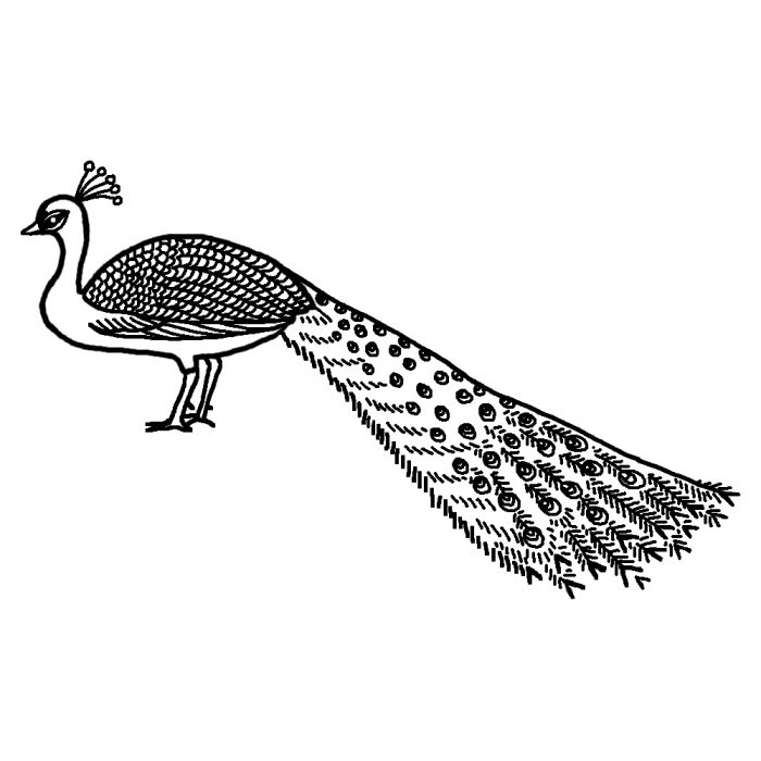 動物の壁紙 トップ100 孔雀 イラスト 白黒