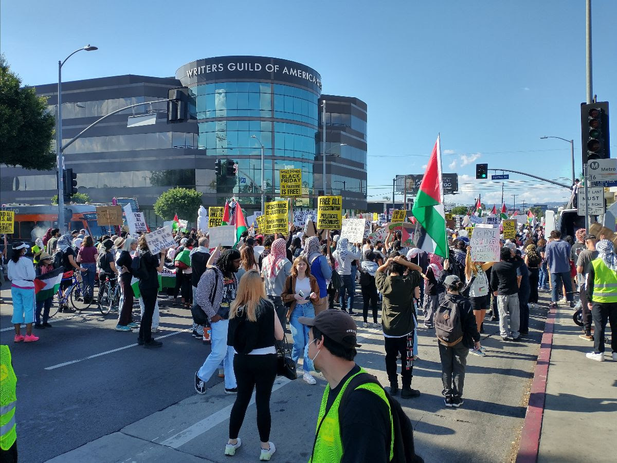 Pro-Palestinian protest in Los Angeles.