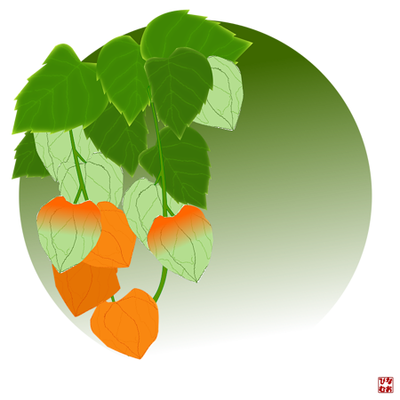 動物画像無料 最高ほおずき イラスト