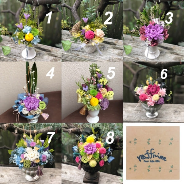 美しい花の画像 最高の手入れ の いらない 花