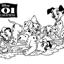 Find out free 101 dalmatians coloring pages to print or color online on hellokids. 101 Dalmatians Coloring Pages 41 Free Disney Printables For Kids To Color Online