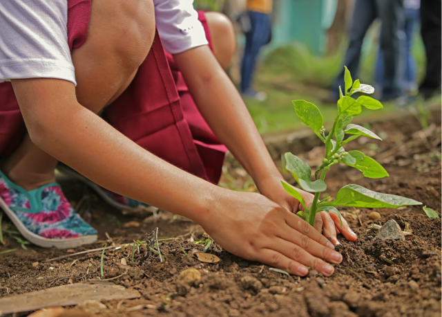 Education Beyond the Classroom Walls