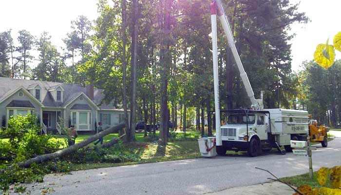 We have excellent records with homeadvisor, yelp, and angie's list just to name a few. Tree Service Tree Removal Tree Trimming Cleveland Oh