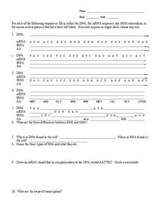 The worksheet is an assortment of 4 intriguing pursuits that will enhance your kid's knowledge and abilities. Transcription And Translation Worksheet For 9th Higher Ed Lesson Planet