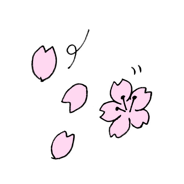 Ngagolak 桜 イラスト 色紙