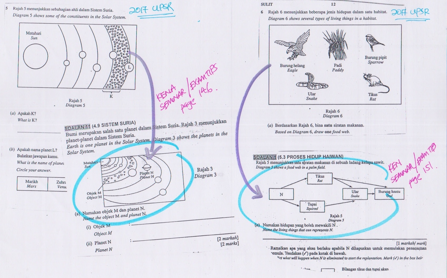 Contoh Soalan English Spm Paper 2 - Kuora e