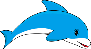 Gambar Ikan  Paus  Kartun Gambar C