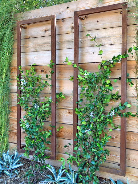 Maybe you would like to learn more about one of these? Ina Wall Trellis Sr Terra Trellis Terrasculpture Terratrellis
