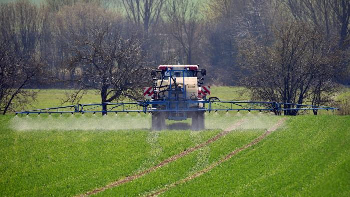 Environnement : le coquelicot, de retour dans les champs