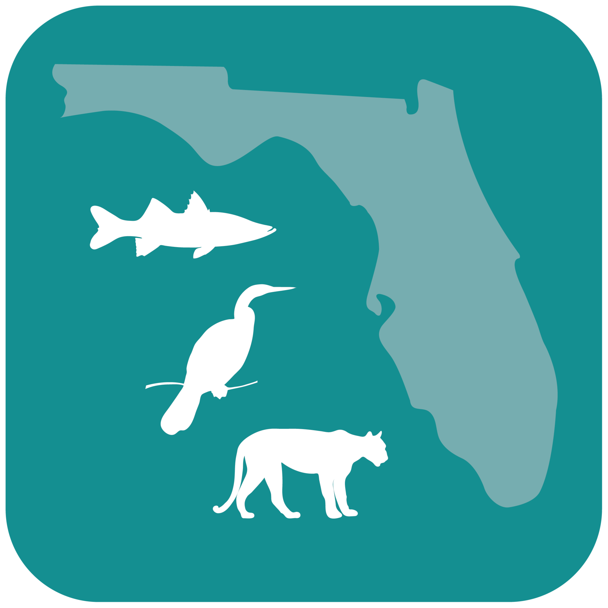 fwc reporter app