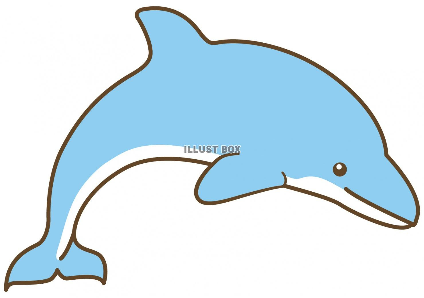 最高のリアル 簡単 イルカ イラスト ただのディズニー画像