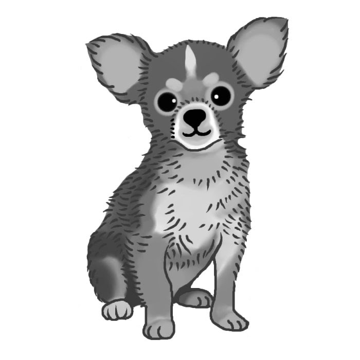 動物画像のすべて 50 チワワ イラスト かわいい 簡単