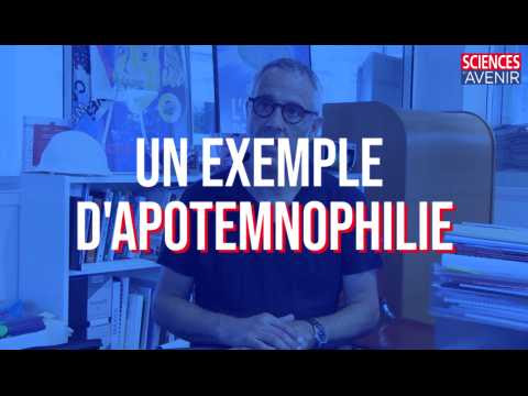 Un exemple d'apotemnophilie