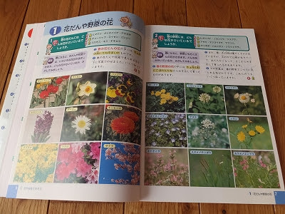 無料印刷可能小学3年理科 子供のための最高のぬりえ