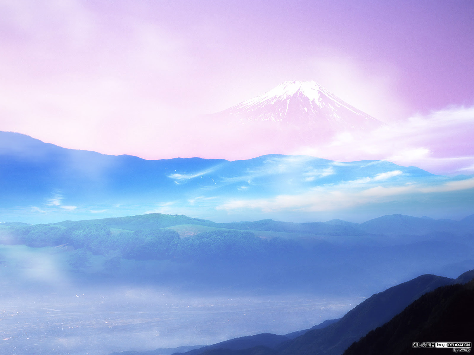 これまでで最高の癒し 画像 壁紙 最高の花の画像