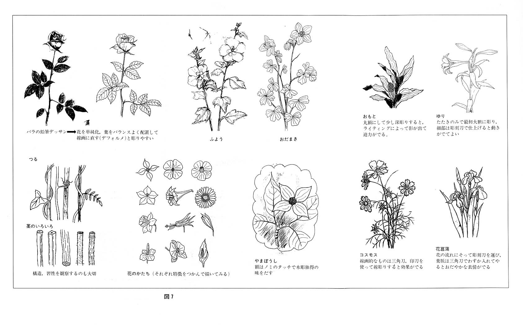 すべての美しい花の画像 新鮮な花 彫刻 刀 簡単 デザイン