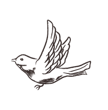 70以上 シンプル 鳥 イラスト かわいい 手書き 最高の壁紙のアイデアcahd