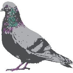 最新鳩 イラスト リアル 美しい花の画像