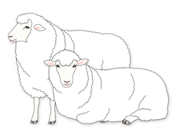 50 羊 イラスト リアル 動物ゾーン