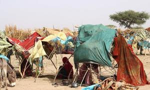 Miles de refugiados cruzan la frontera con Chad huyendo de la violencia en Sudán.