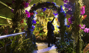 Image of a woman under an arch of orchids