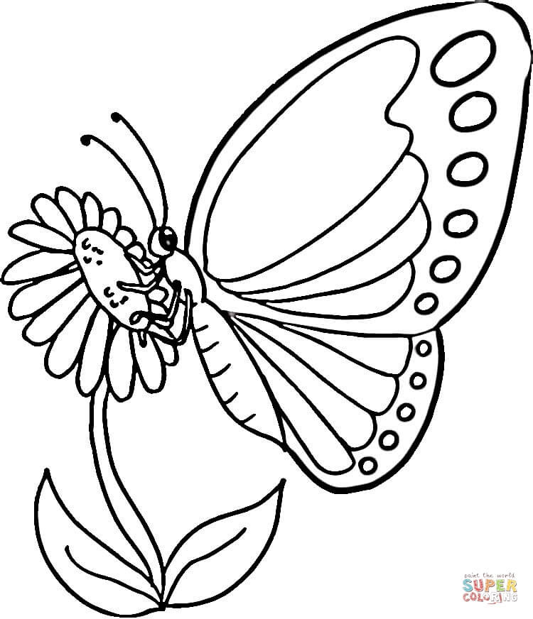 In this beautiful coloring page, a charming butterfly is showing her pretty wings! Monarch Butterfly Coloring Page Free Printable Coloring Pages