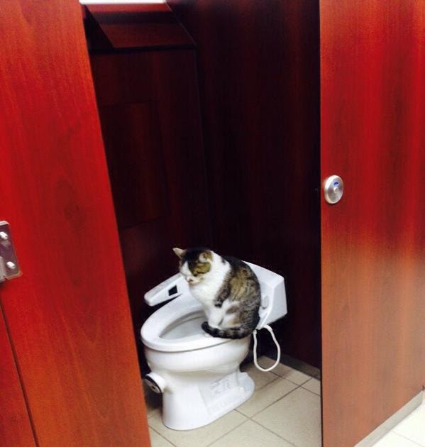 Toto ウォシュレット 茶色い液体
