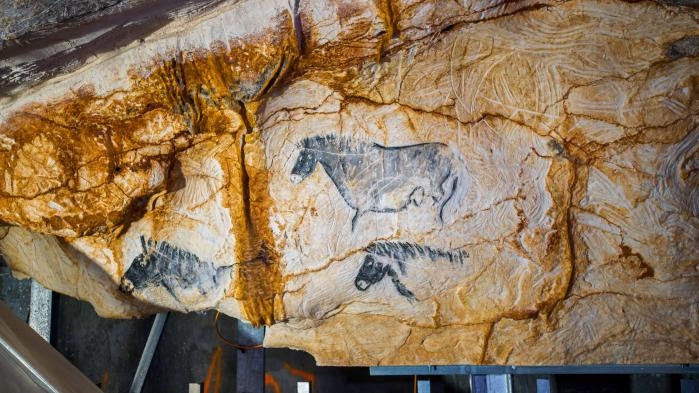 Grotte Cosquer à Marseille : une course contre la montre pour sauver un joyau du patrimoine préhistorique mondial