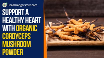 Support a healthy heart with Organic Cordyceps Mushroom Powder