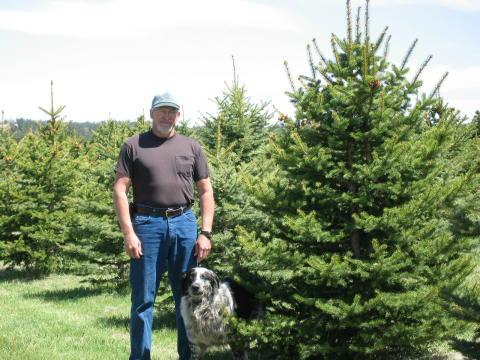 Up to 50% off + free s&h! Tree Specifications