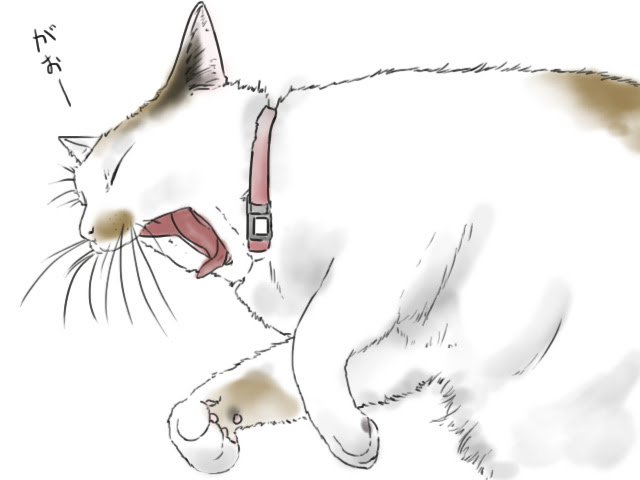 Japan Image 猫 あくび イラスト