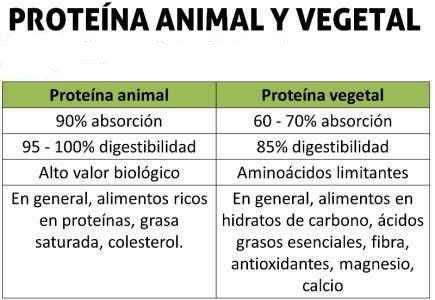 proteinas