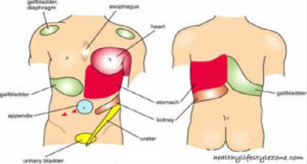 The articles shared under 'your voice' section are sent to us by contributors and we neither confirm nor deny the authenticity of any facts stated below. Lasa Locka Till Sig Binda Sharp Stabbing Pain Under Rib Cage Sakaryahostel Com