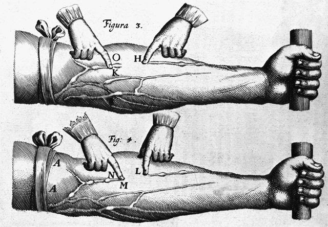 Harvey, William: theory of the circulation of blood