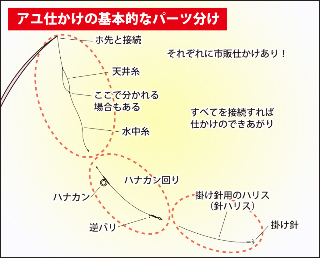 綺麗な鮎釣り 仕掛け ハナカン 周り 魚のすべて