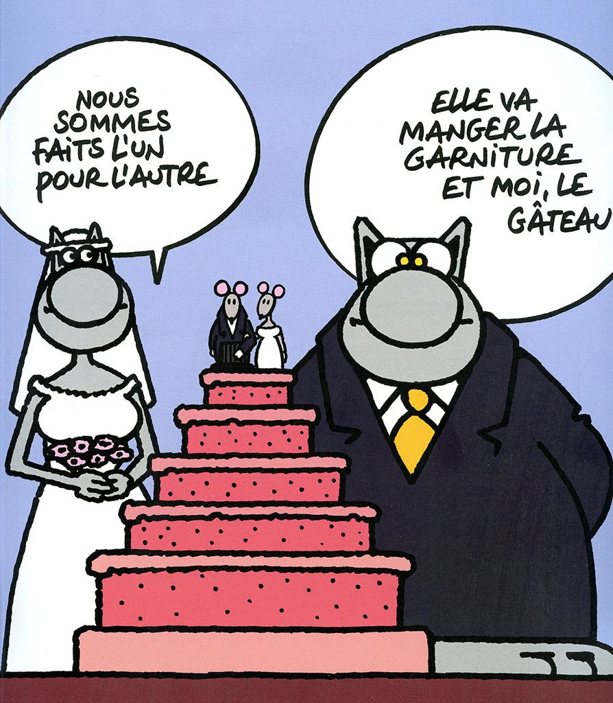 Citations Anniversaire De Mariage Humour Torie