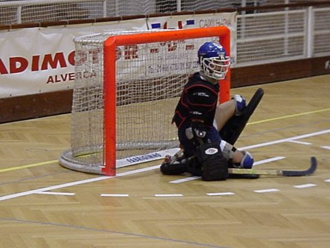 Sporting renova título europeu de hóquei em patins. Baliza De Hoquei Em Patins Fabrigimno