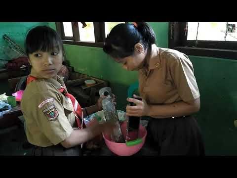 Terbaik Cara mudah membuat cincau kaya manfaat dan membuat 