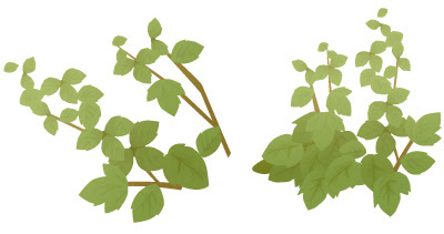 最高の植物 フリー 素材 花の画像