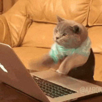 無料印刷可能動物 おもしろ Gif 最高の動物画像
