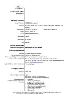 Curriculum Vitae Cv Shqip Shembull